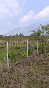 Image of 1000 Sq.ft Residential Plot / Land for sale in Dharmawala, Dehradun for Rs. 22000000