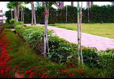 Image of 835 Sq.ft Residential Plot / Land for sale in RL Lemon City, Paliya Haidar, Indore for Rs. 3757500