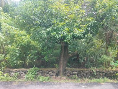 Image of 13068 Sq.ft Residential Plot / Land for sale in Paravattani, Thrissur for Rs. 24000000