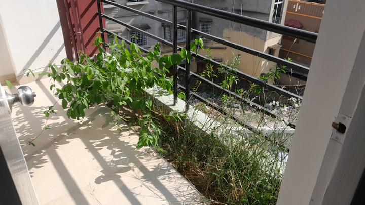 Avani  Estates Main Image 1