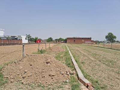 Saee Plot View 3