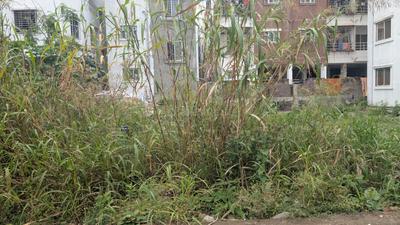 Image of 2178 Sq.ft Residential Plot / Land for sale in Hinjawadi, Pune for Rs. 12500000