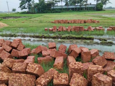 Image of 1500 Sq.ft Residential Plot / Land for sale in Benupur, Bhubaneswar for Rs. 3450000
