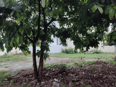 Image of 2400 Sq.ft Residential Plot / Land for sale in Kodigehalli, Bengaluru for Rs. 53000000
