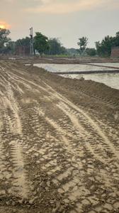 Image of 1150 Sq.ft Residential Plot / Land for sale in Harhua, Varanasi for Rs. 2900000