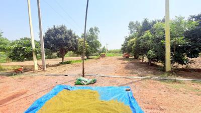 Image of 450 Sq.ft Residential Plot / Land for sale in Chhata, Mathura for Rs. 750000