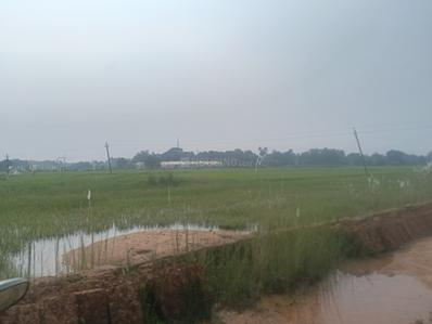 Image of 1600 Sq.ft Residential Plot / Land for sale in Ashok Nagar, Bhubaneswar for Rs. 3840000