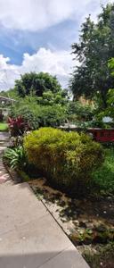 Image of 1500 Sq.ft 2.5 BHK Villa for rent in Uttorayon Township, Siliguri for Rs. 35000
