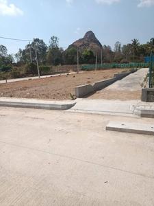 KNS HILLS VIEW Plot View 1