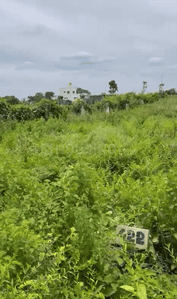 Image of 1500 Sq.ft Residential Plot / Land for sale in Magnolia Valley Woods, Bidadi, Bengaluru for Rs. 6450000