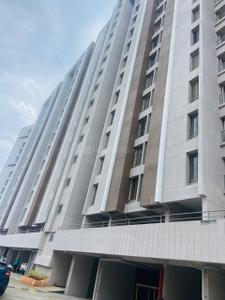 Image of 600 Sq.ft 1 BHK Apartment / Flat for rent in Excellaa Florence, Pirangut, Pune for Rs. 10000