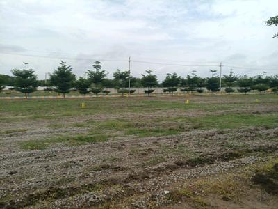 GEM Infiniti Counti Plot View 2
