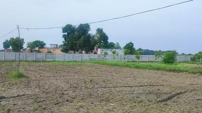 Image of 900 Sq.ft Residential Plot / Land for sale in Jewar, Greater Noida for Rs. 800000