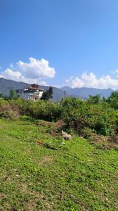 Image of 270 Sq.ft Residential Plot / Land for sale in Canal Road, Dehradun for Rs. 21600000
