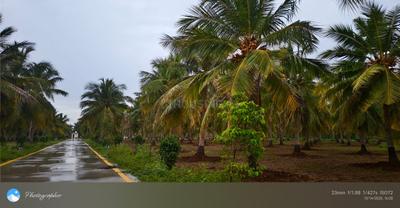 Image of 1200 Sq.ft Residential Plot / Land for sale in Mangal Nagar, Siruganur, Tiruchirappalli for Rs. 750000