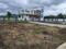 Theur Plot View 2