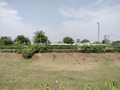 Sector 98 Plot View 2