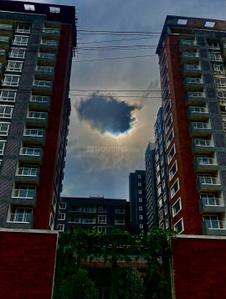 Image of 980 Sq.ft 2 BHK Apartment / Flat for sale in Brigade Laguna, Jakkur, Bengaluru for Rs. 16500000