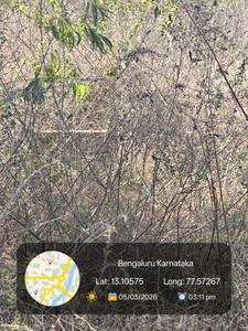 Image of 1100 Sq.ft 2 BHK Apartment / Flat for sale in Krishna Mystiq, Basapura, Bengaluru for Rs. 8500000