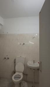 Bathroom Image of 1100 Sq.ft 3 BHK Apartment / Flat for rent in Shree Homes, Sector 45 Faridabad for Rs. 28000