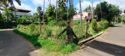 Image of 4573 Sq.ft Residential Plot / Land for sale in Kuttanellur, Thrissur for Rs. 11025000