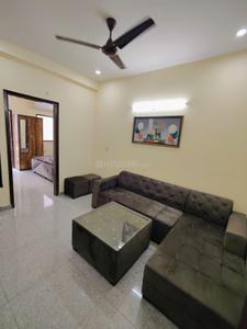 Hall Image of 900 Sq.ft 2 BHK Builder Floor for rent in Sector 41 Gurgaon for Rs. 40000