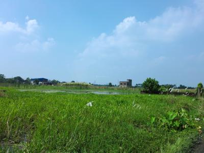 Wander Valley Plot View 2