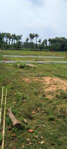 Image of 1200 Sq.ft Residential Plot / Land for sale in Bihta, Patna for Rs. 1600000