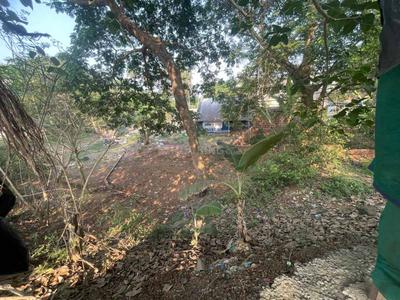 Image of 6000 Sq.ft Residential Plot / Land for sale in Pamsara, Bhubaneswar for Rs. 7000000