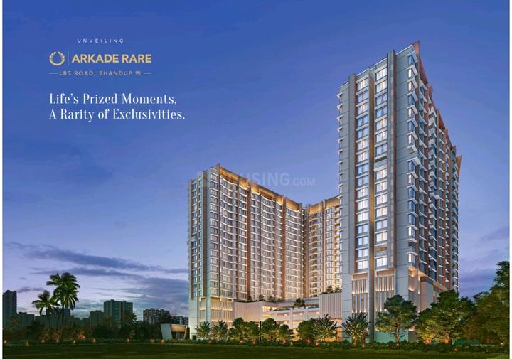 Arkade Rare Main Image 1