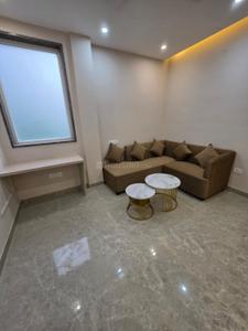 Hall Image of 1455 Sq.ft 3.5 BHK Builder Floor for sale in Signature Global City 81, Sector 81 Gurgaon for Rs. 13900000