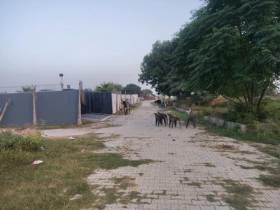 Image of 125 Sq.ft Residential Plot / Land for sale in Noida Extension, Greater Noida for Rs. 4378200