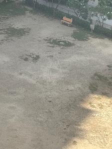 Sector 75 Plot View 2