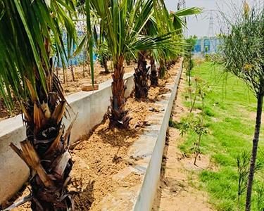 Image of 120 Sq.ft Residential Plot / Land for sale in Vedmaan South City Greens, Jhajjarrural, Jhajjar for Rs. 5700000