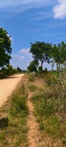 Image of 87120 Sq.ft Residential Plot / Land for sale in Amangal, Ranga Reddy for Rs. 15000000