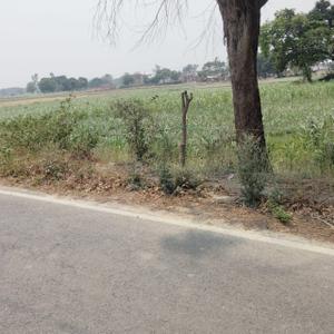 Image of 35000 Sq.ft Residential Plot / Land for sale in Ganja, Ayodhya for Rs. 45000000