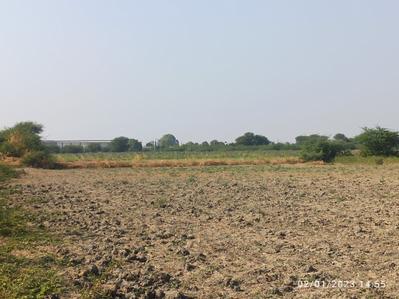 Image of 9100 Sq.ft Residential Plot / Land for sale in Viramgam, Ahmedabad for Rs. 6500000