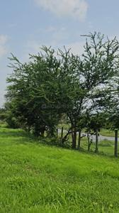 Image of 5445 Sq.ft Residential Plot / Land for sale in Manor, Mumbai for Rs. 4250000