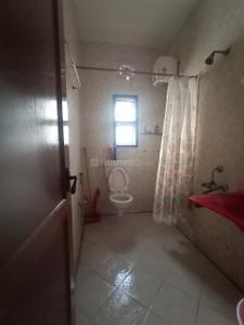 Bathroom Image of 1300 Sq.ft 3 BHK Apartment / Flat for rent in Velachery Chennai for Rs. 45000