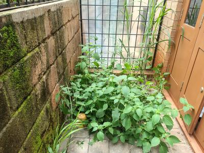 Balcony Image of 1800 Sq.ft 3 BHK Villa for rent in Bangalore City Municipal Corporation Layout Bengaluru for Rs. 58000