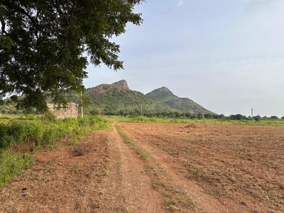 Image of 1697 Sq.ft Residential Plot / Land for sale in Mothadaka, Guntur for Rs. 4209000