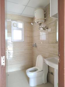 Common Bathroom Image of 1565 Sq.ft 3 BHK Apartment / Flat for rent in ACE Divino, Noida Extension Greater Noida for Rs. 34899