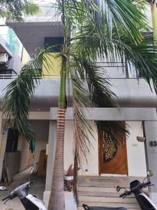 5 BHK Villa