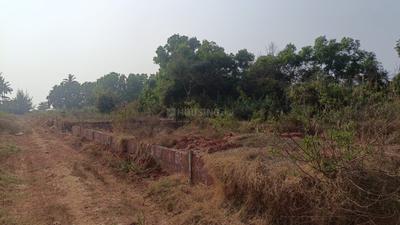 Image of 93108 Sq.ft 4 BHK Farm House for sale in Morjim, Goa for Rs. 1100000000