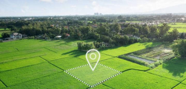 Jubilee Parklane Extension Main Image 1