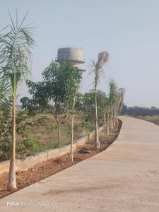 Image of 1000 Sq.ft Residential Plot / Land for sale in Singar City, Naya Raipur, Raipur for Rs. 1355500