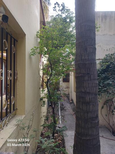 Annamalai Colony, Saligramam Main Image 1