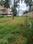 Rachenahalli, Thanisandra Plot View 1