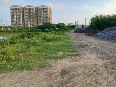 Sector 12 Plot View 2
