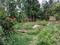 Narayanpur Kadihati Plot View 2